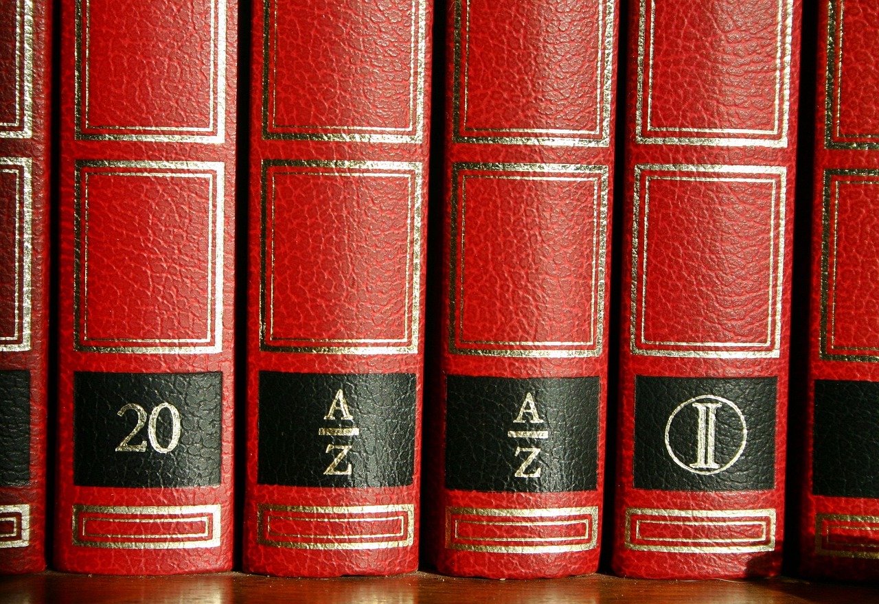 2025年新奥正版免费_-动态词语解答落实,警惕信息误区 深度解析